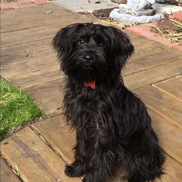 Meet your Posher, Colleen - Picture 1 of 1